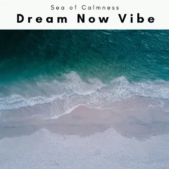 Dream Now Vibe by Sea of Calmness