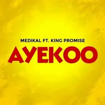 Ayekoo (feat. King Promise) by Medikal