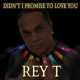 Didn't I Promise To Love You by Rey T.