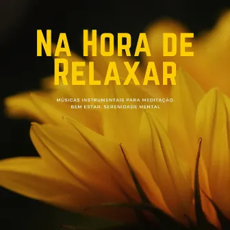 Na Hora de Relaxar: Músicas Instrumentais para Meditação, Bem Estar, Serenidade Mental by Everything's Fine