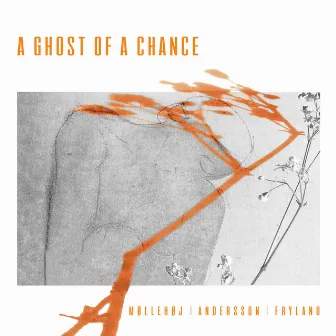 A Ghost Of A Chance by Richard Andersson