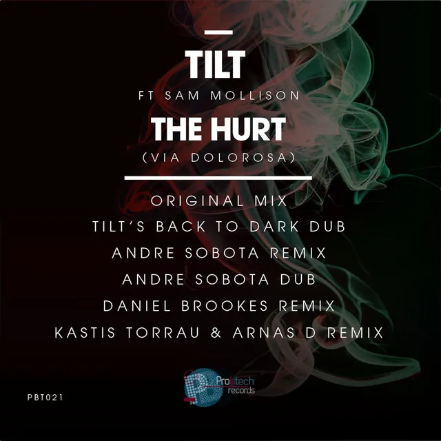 The Hurt feat. Sam Mollison - TR20 Remix