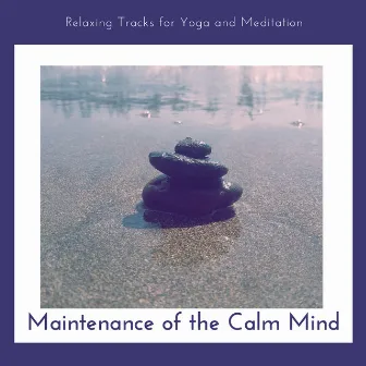 Maintenance Of The Calm Mind - Relaxing Tracks For Yoga And Meditation by Mental Relaxation Project