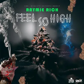 Feel so High by Raymie Rich