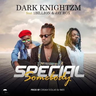 Special Somebody by Dark Knightzm