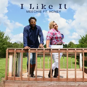 I Like It by Meechie