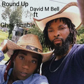 Round Up by David M Bell