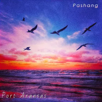 Port Aransas by Pashang 爬上