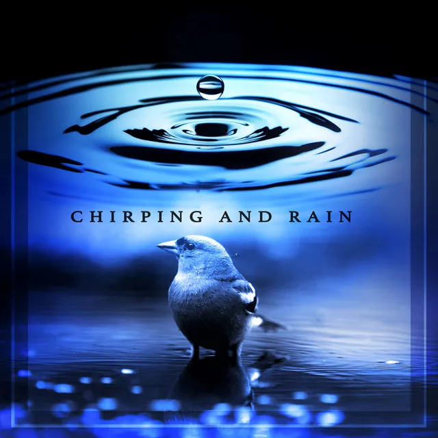 Chirping and Rain