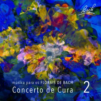 Música para os Florais de Bach, Vol. 2 by Concerto de Cura