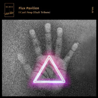 I Can't Stop (Ekali Tribute) by Flux Pavilion