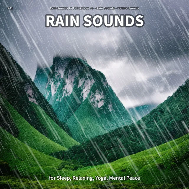 Rain Sounds, Pt. 16