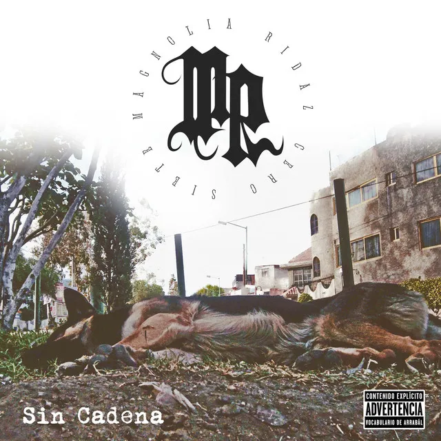 Sin Cadena