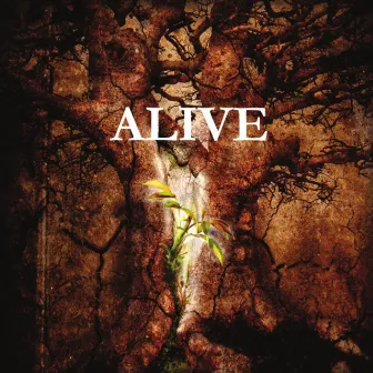 Alive by Tim Davis