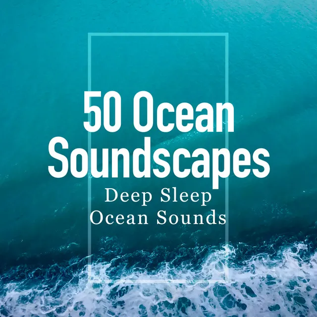 50 Ocean Soundscapes