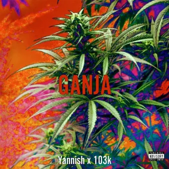 GANJA by Yannish