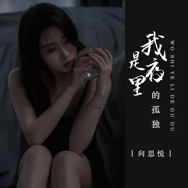 我是夜里的孤独 - DJ九锐版伴奏