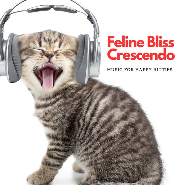 Feline Bliss Crescendo: Music For Happy Kitties