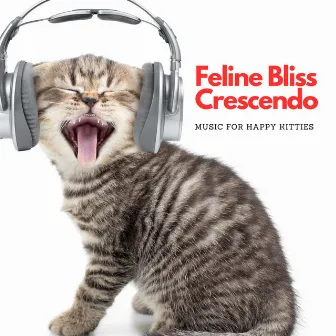 Feline Bliss Crescendo: Music For Happy Kitties by Blissfulness