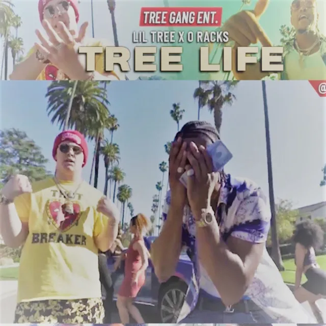 Tree Life