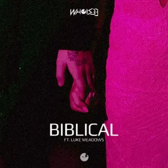 Biblical by WHOiSEE