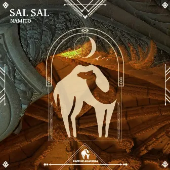 Sal Sal by Amir Sheykh