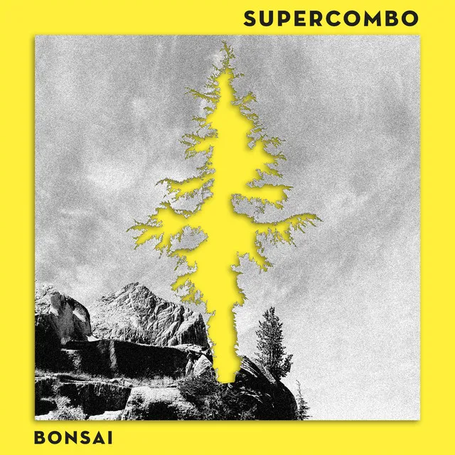 Bonsai