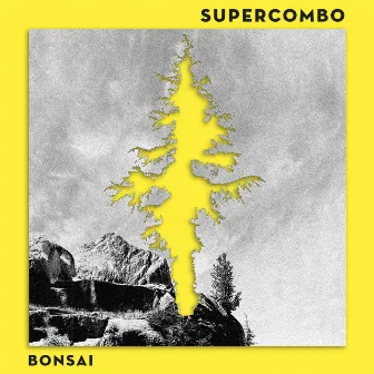 Bonsai by Supercombo