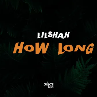 How Long by Lilshah