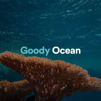 Goody Ocean by Ocean Waves For Sleeping