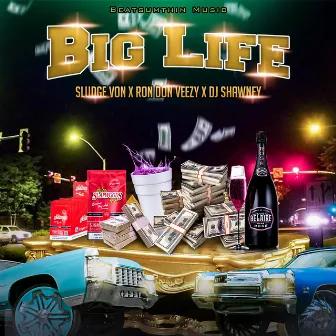 Big Life by DJ SHAWNEY