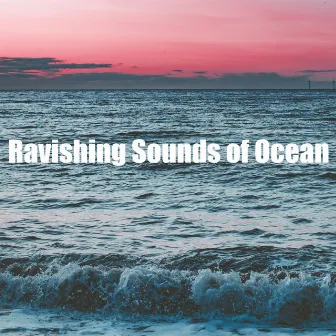 Ravishing Sounds of Ocean by Calm of Water