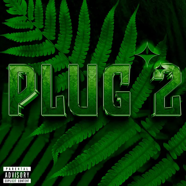 PLUG 2