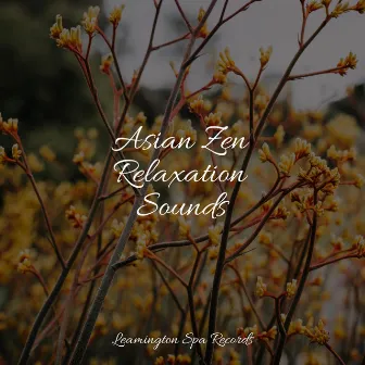 Asian Zen Relaxation Sounds by Water Spa