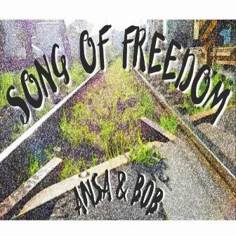 SONG OF FREEDOM by Ansa