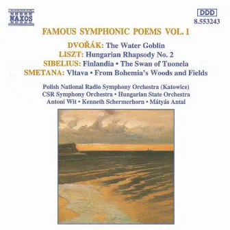 Famous Symphonic Poems, Vol. 1 by Kenneth Schermerhorn