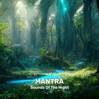 Sounds Of The Night by Mantra