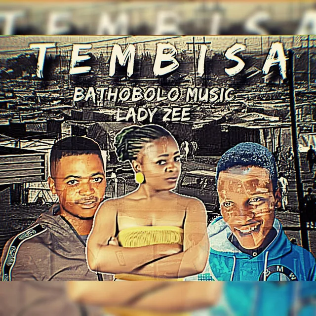 TEMBISA