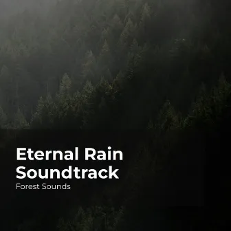 Eternal Rain Soundtrack by Forest Sounds