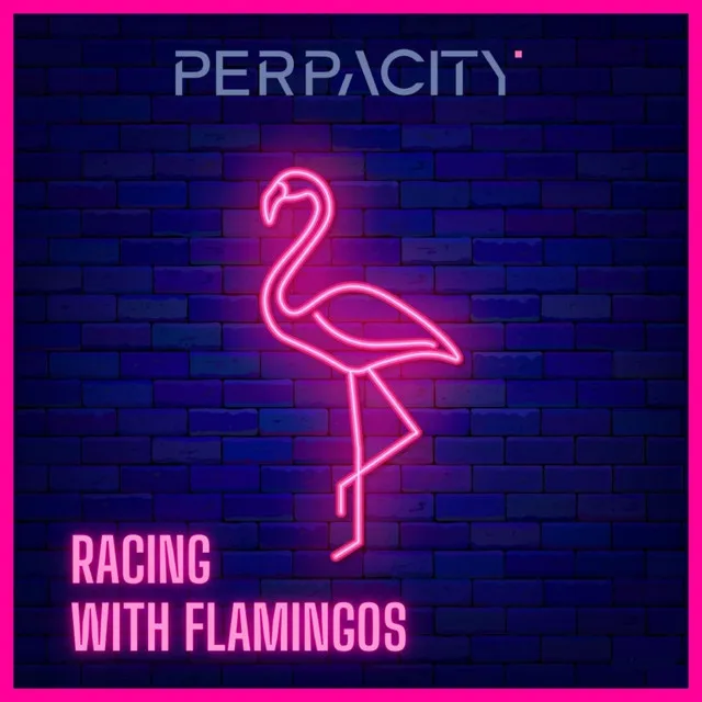 Racing With Flamingos