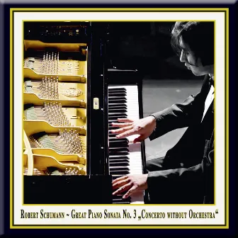 Robert Schumann: Great Piano Sonata No. 3 