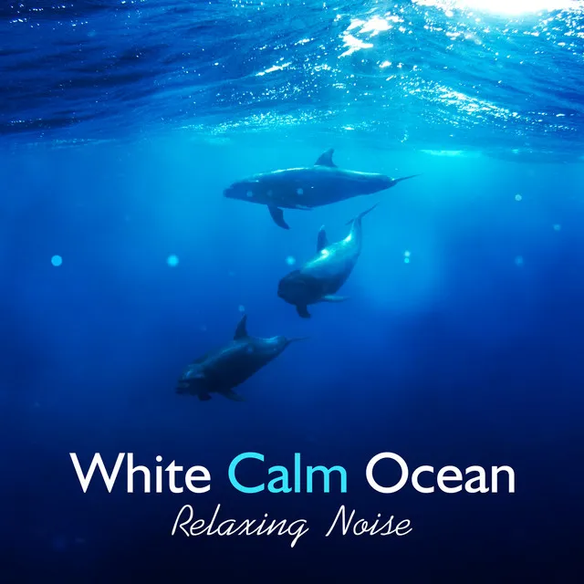 White Calm Ocean: Relaxing Noise for Deep Sleep, Rest, Relaxation