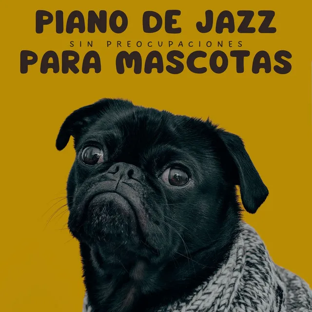 Compañeros De Piano