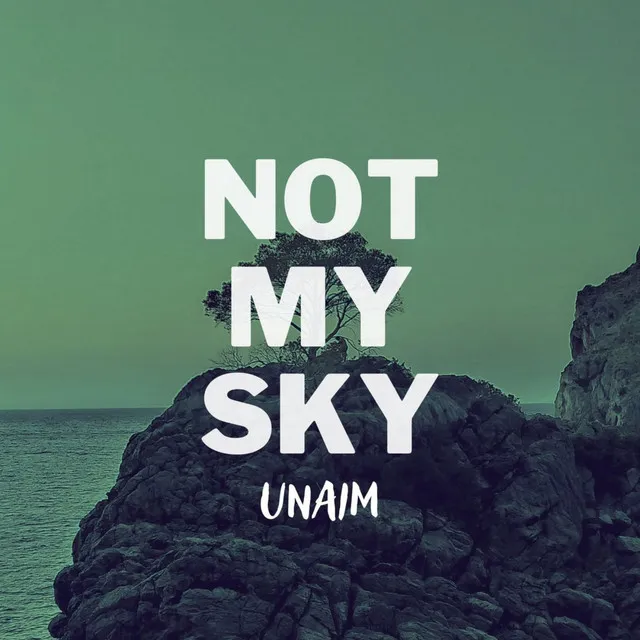 Not My Sky