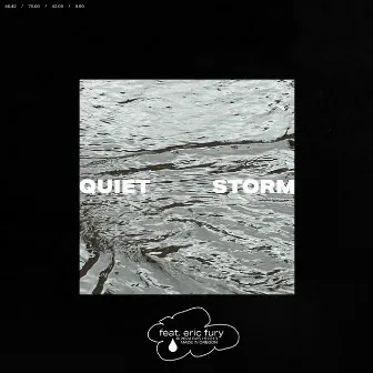 Quiet Storm by Janeiro Lockhart