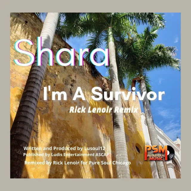 I'm A Survivor - Rick's Survivor Extended Mix