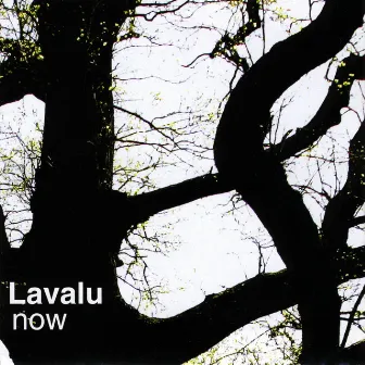 Now by LAVALU