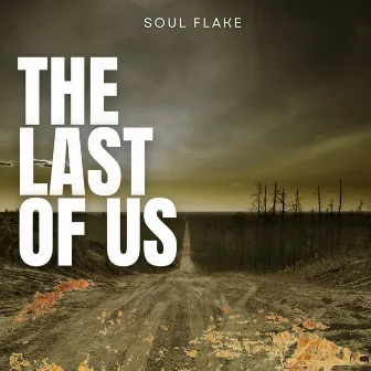 The last of us by Soul Flake