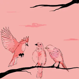 birds by Theaux Elliot