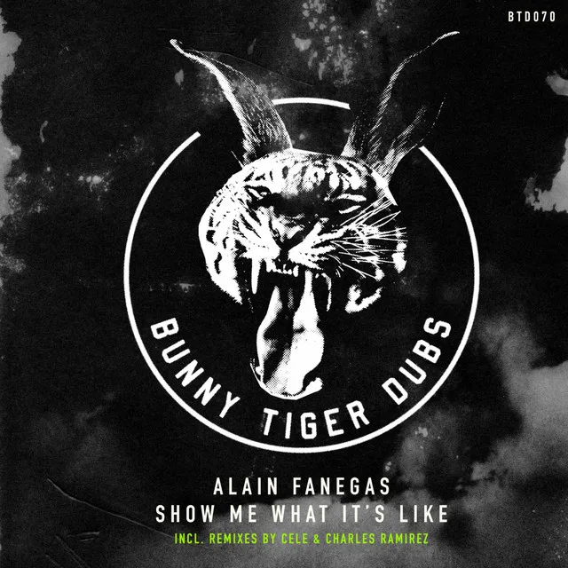 Show Me What It's Like - Cele Remix